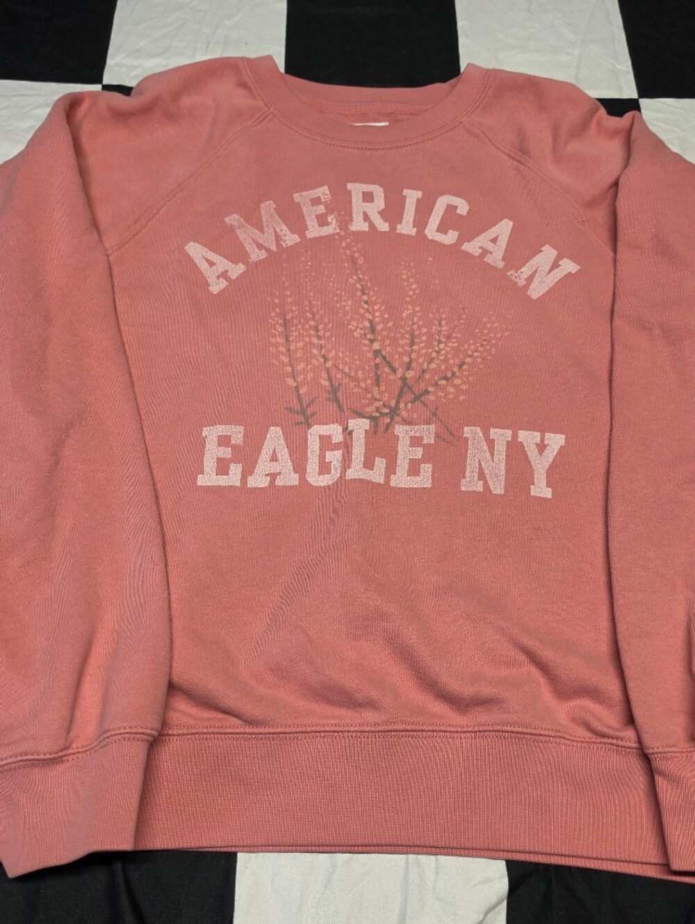 American Eagle Outfitters Rose Coral Crewneck Sweatshirt with Floral Graphic